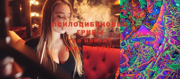 амф Кулебаки