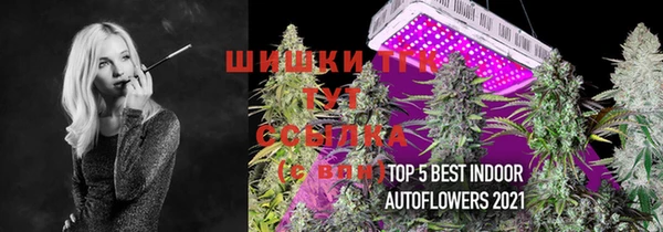 мяу мяу мука Кукмор