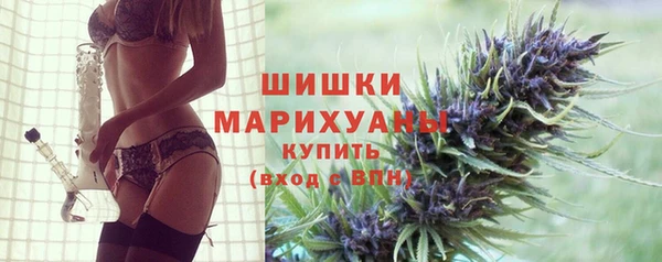 амф Кулебаки