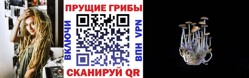 Галлюциногенные грибы Psilocybine cubensis  Купить  Спас-Клепики 